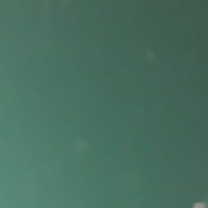 Гладкий лист 0,45 мм RAL 6005 | Алюцинк с полимерным покрытием | RAMKABUD Гладкий лист 0,45 мм RAL 6005 | Алюцинк с полимерным покрытием | RAMKABUD RAMKABUD- Купить стройматериалы для кровли и фасада