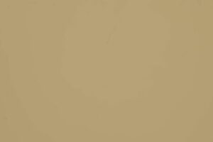 Алюминиевая композитная панель Albond® 7000 / 4-04 / SOLID / RAL 1000 Green Beige RAMKABUD Алюминиевая композитная панель Albond® 7000 / 4-04 / SOLID / RAL 1000 Green Beige RAMKABUD RAMKABUD- Купить стройматериалы для кровли и фасада