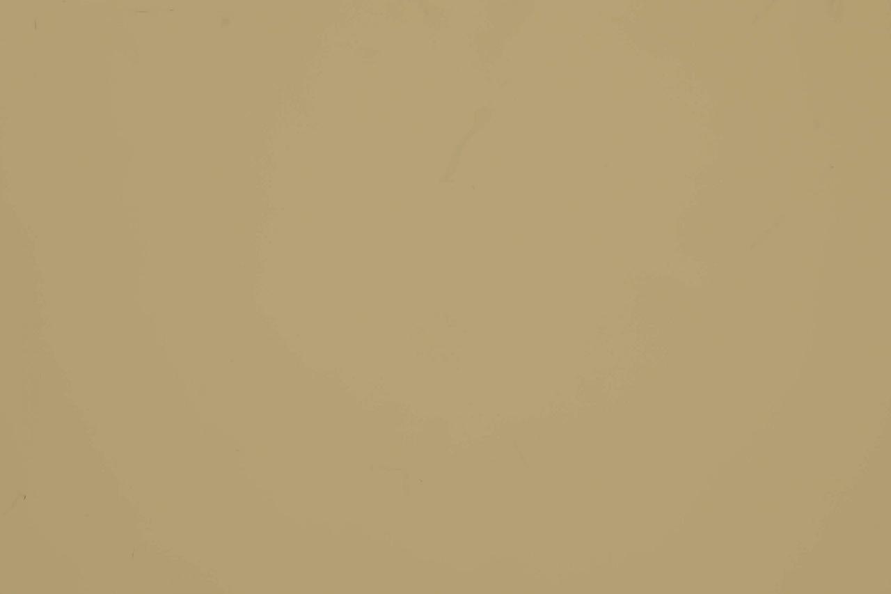 Алюминиевая композитная панель Albond® 7000 / 4-04 / SOLID / RAL 1000 Green Beige RAMKABUD 2 Алюминиевая композитная панель Albond® 7000 / 4-04 / SOLID / RAL 1000 Green Beige RAMKABUD RAMKABUD- Купить стройматериалы для кровли и фасада 2
