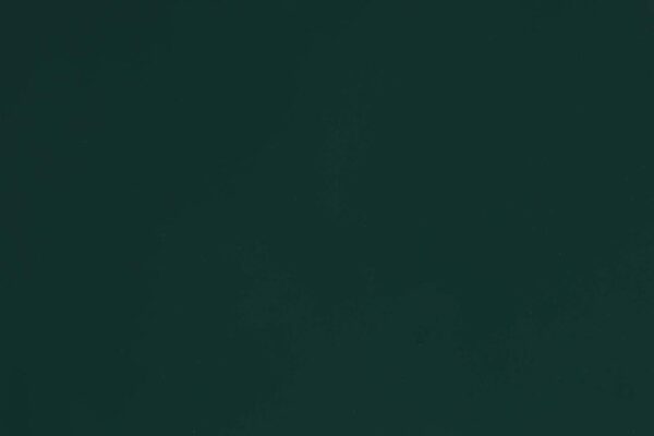 Алюминиевая композитная панель Albond® 7000 / 4-04 / SOLID / RAL 6005 Moss Green RAMKABUD RAMKABUD- Купить стройматериалы для кровли и фасада 2